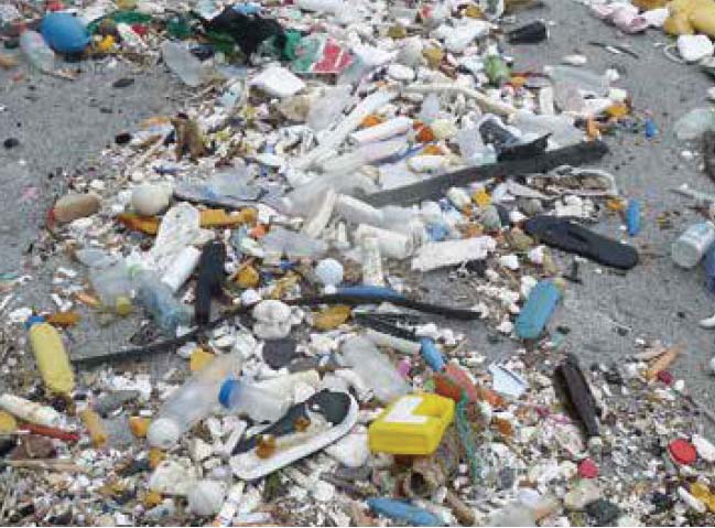 伊豆諸島の海洋ゴミ