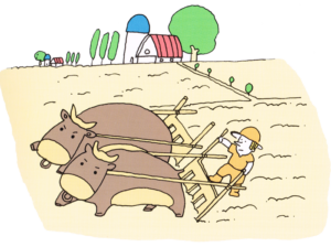 エーカーの図