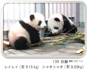 138日齢
