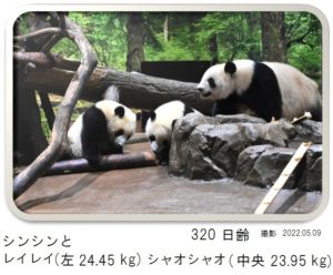320日齢