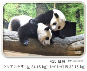 425日齢