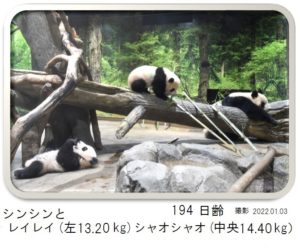 194日齢