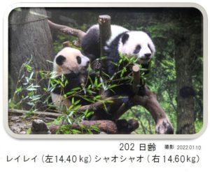 202日齢