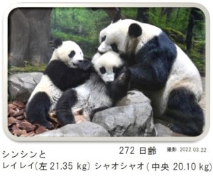 272日齢